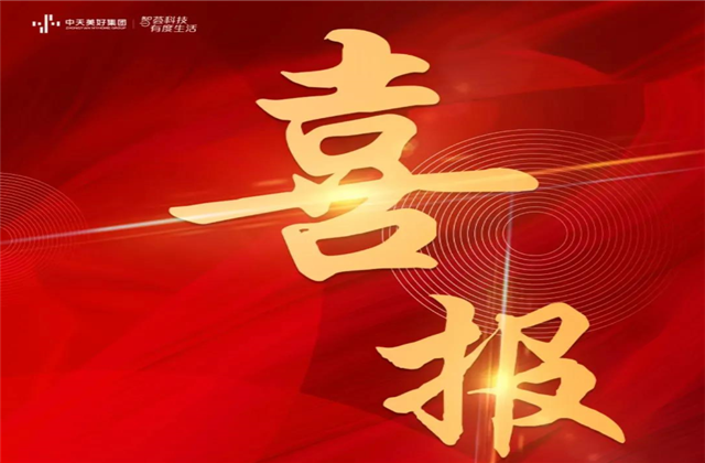 尊龙·Z6美好集团蝉联“2021长三角城市群房地产公司品牌价值TOP10”